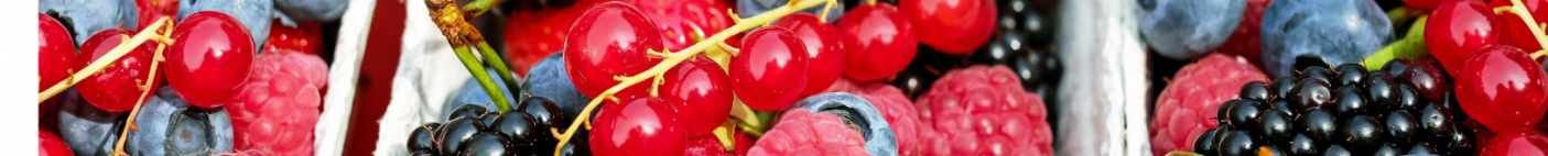 Świeże owoce: cytrusy, winogrona, jabłka, ananasy | Kupuj online
